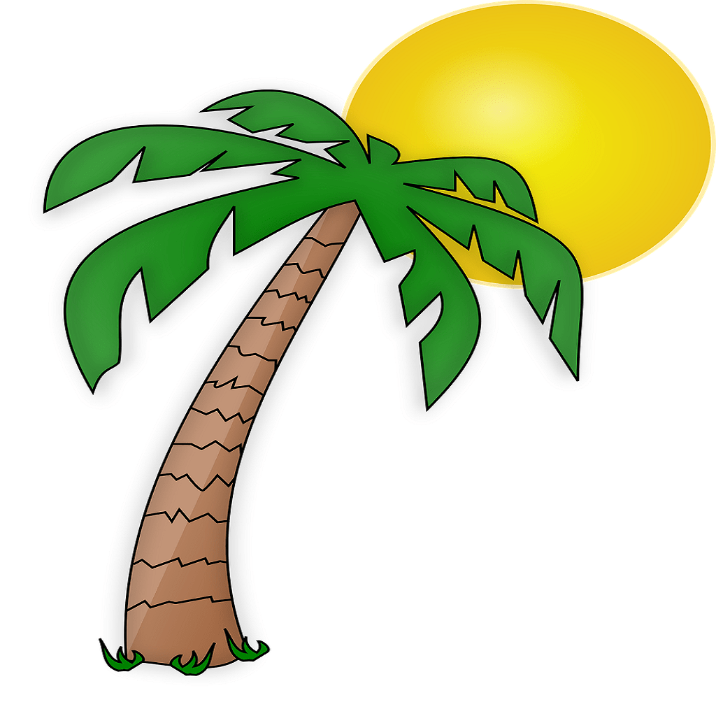 Qué significa soñar con palmeras | 40 INTERPRETACIONES