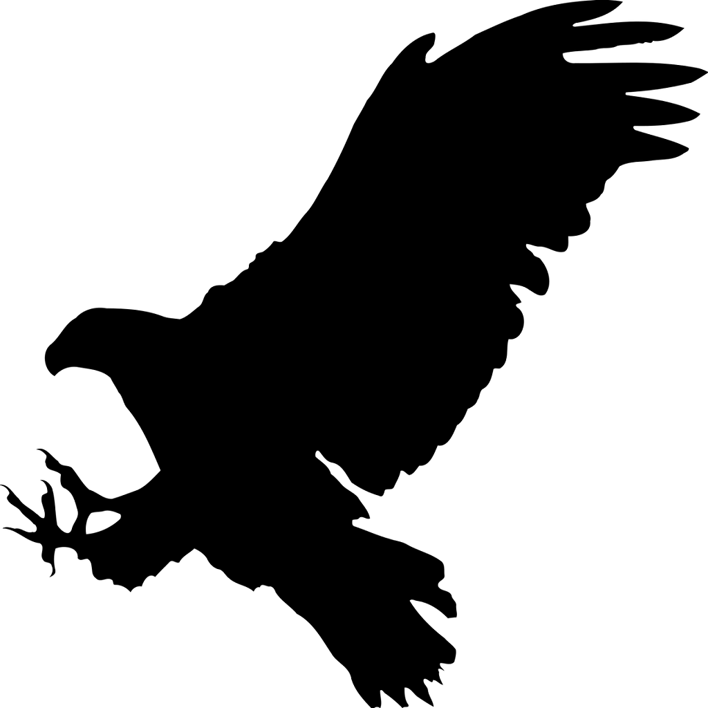 que-significa-soñar-con-intentar-matar-a-un-pajaro-y-no-conseguirlo
