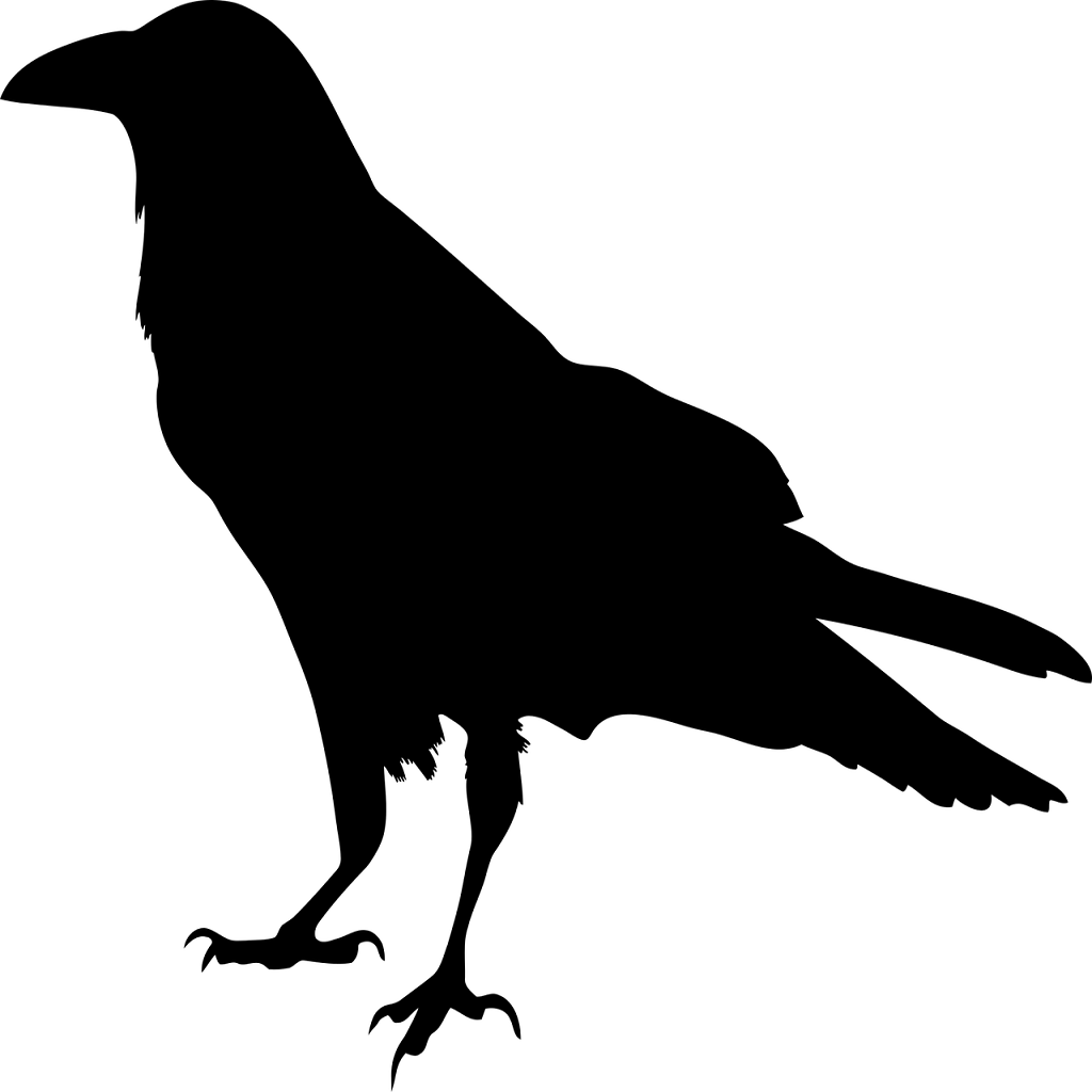 que-significa-soñar-con-ver-pajaros-negros