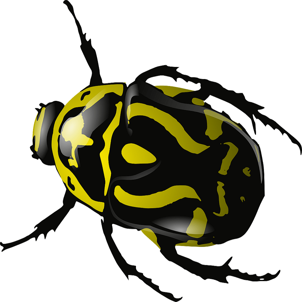 Qué significa soñar con escarabajos dorados | 1 INTERPRETACIÓN