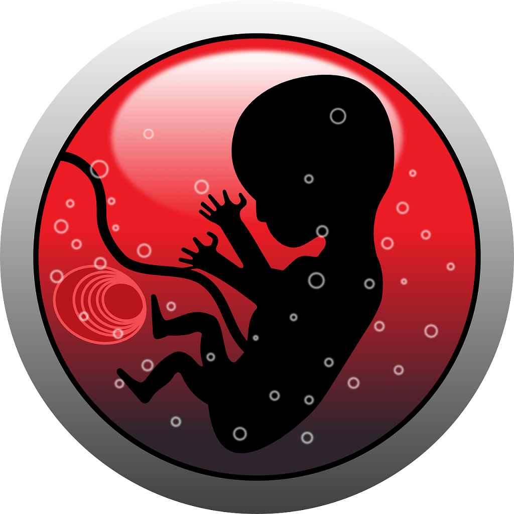 que-significa-soñar-con-sentir-a-un-bebe-moverse-dentro-del-vientre