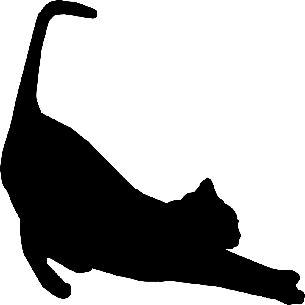 Qué significa soñar que tu gato se cae desde un octavo piso | 8 INTERPRETACIONES