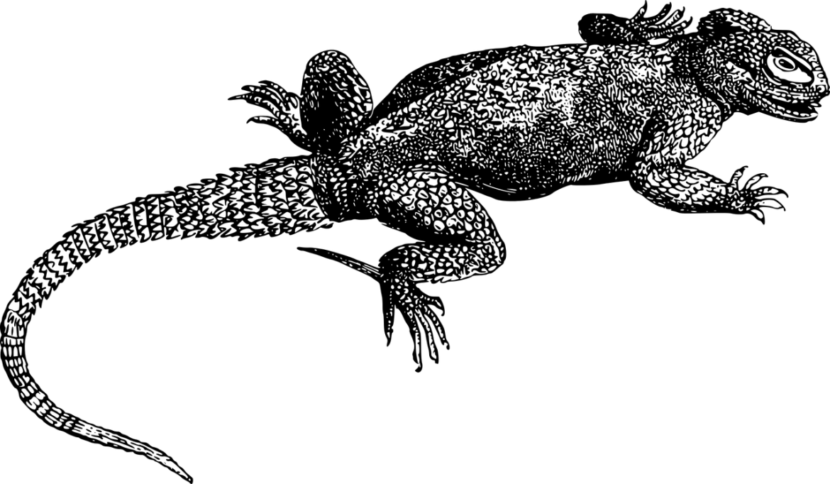 Qué significa soñar con lagartijas grandes | VARIAS INTERPRETACIONES